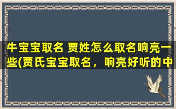 牛宝宝取名 贾姓怎么取名响亮一些(贾氏宝宝取名，响亮好听的中文名大全！)